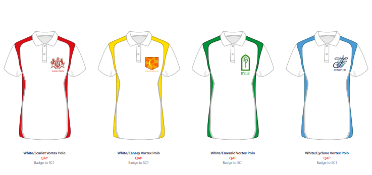 BCSG HOUSE SHIRTS